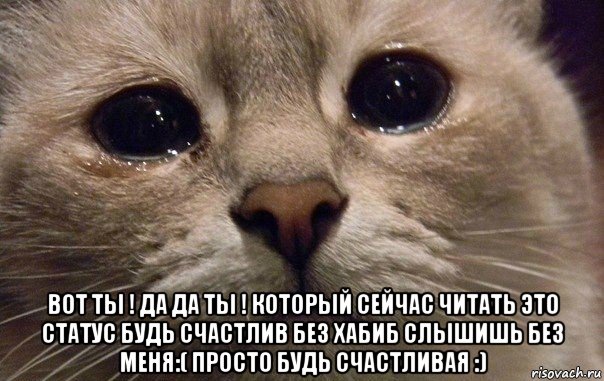  вот ты ! да да ты ! который сейчас читать это статус будь счастлив без хабиб слышишь без меня:( просто будь счастливая :), Мем   В мире грустит один котик