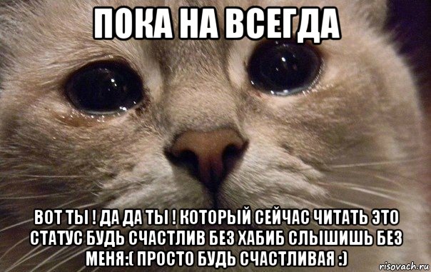 пока на всегда вот ты ! да да ты ! который сейчас читать это статус будь счастлив без хабиб слышишь без меня:( просто будь счастливая :), Мем   В мире грустит один котик