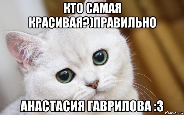 кто самая красивая?)правильно анастасия гаврилова :3, Мем  В мире грустит один котик