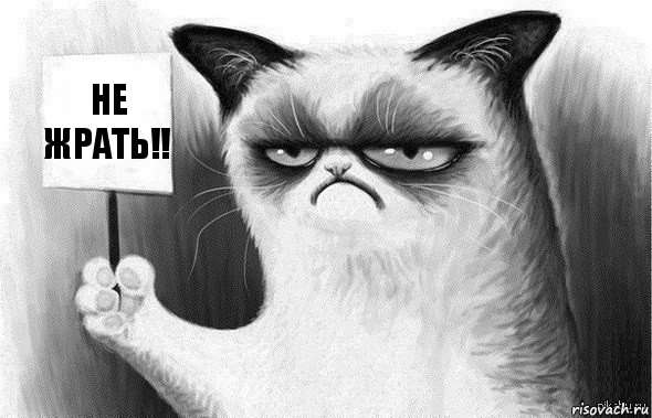 не жрать!!, Комикс Угрюмый кот с табличкой