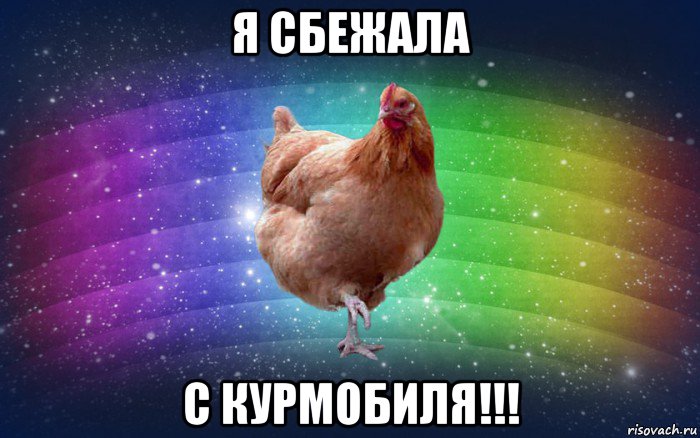 я сбежала с курмобиля!!!