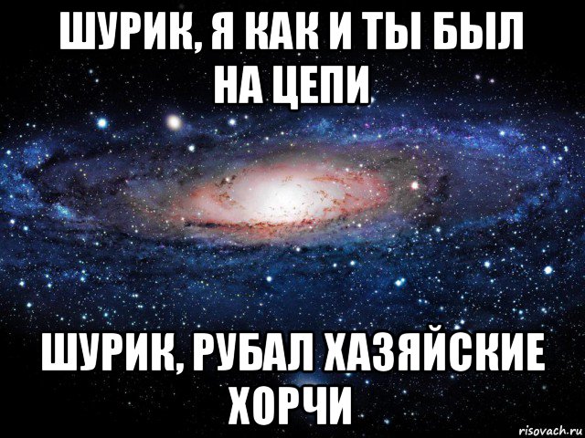 шурик, я как и ты был на цепи шурик, рубал хазяйские хорчи, Мем Вселенная