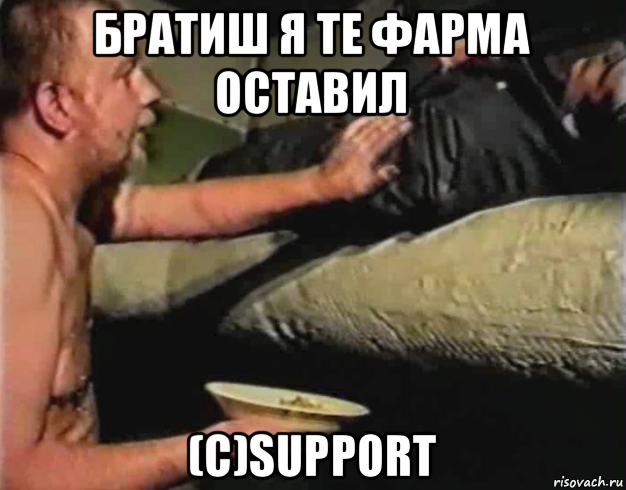 братиш я те фарма оставил (с)support, Мем Зеленый слоник