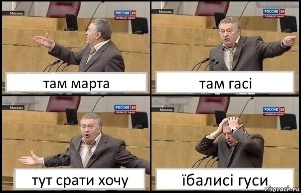 там марта там гасі тут срати хочу їбалисі гуси, Комикс Жирик в шоке хватается за голову