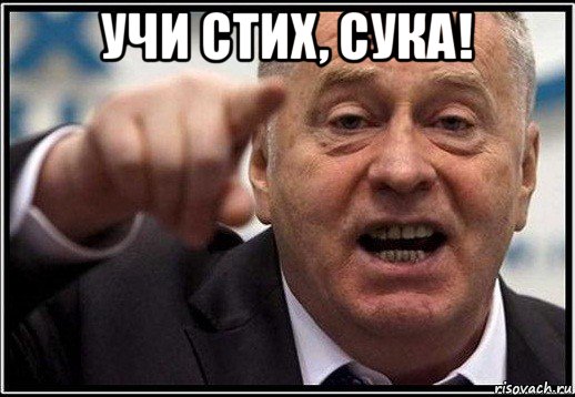 учи стих, сука! , Мем жириновский ты