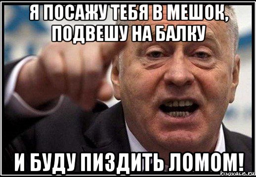 я посажу тебя в мешок, подвешу на балку и буду пиздить ломом!, Мем жириновский ты