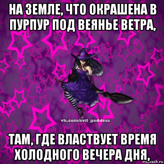 на земле, что окрашена в пурпур под веянье ветра, там, где властвует время холодного вечера дня,, Мем Зла Богиня