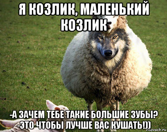 я козлик, маленький козлик -а зачем тебе такие большие зубы? -это чтобы лучше вас кушать!)), Мем Злая Овца