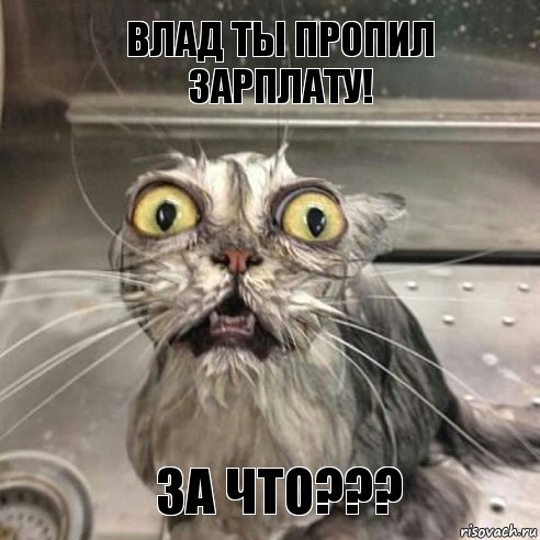 Влад ты пропил зарплату! За что???, Комикс 1