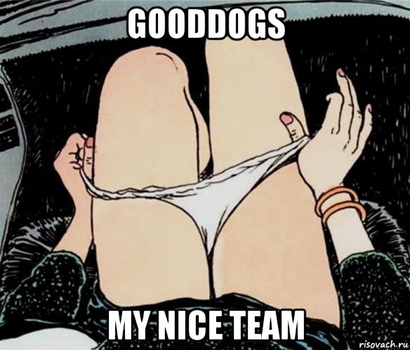 gooddogs my nice team, Мем А ты точно