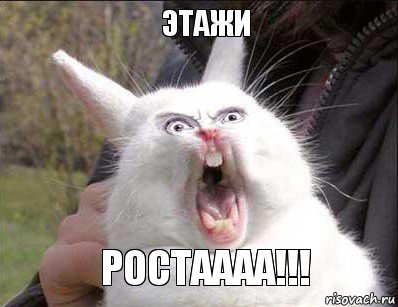 ЭТАЖИ РОСТАААА!!!, Комикс а