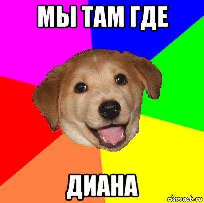 мы там где диана, Мем Advice Dog