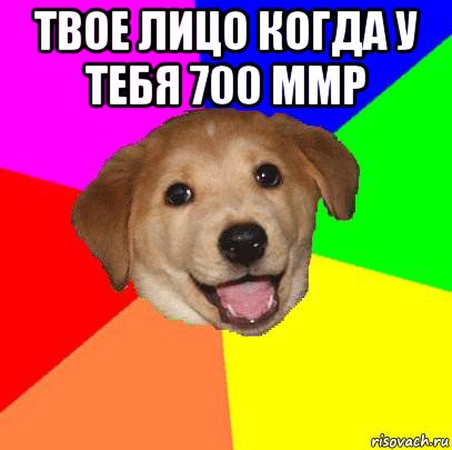 твое лицо когда у тебя 700 ммр , Мем Advice Dog