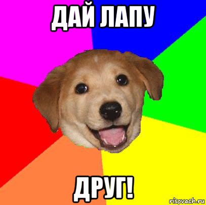 дай лапу друг!, Мем Advice Dog