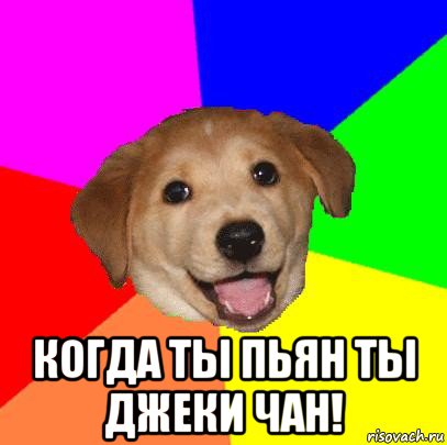  когда ты пьян ты джеки чан!, Мем Advice Dog