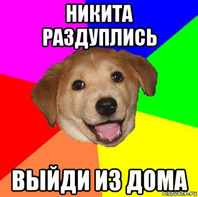 никита раздуплись выйди из дома, Мем Advice Dog