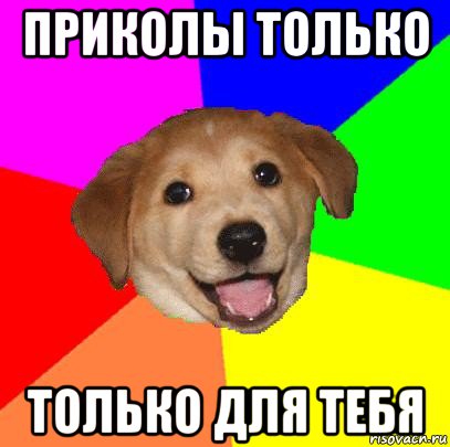 приколы только только для тебя, Мем Advice Dog