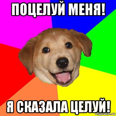 поцелуй меня! я сказала целуй!, Мем Advice Dog