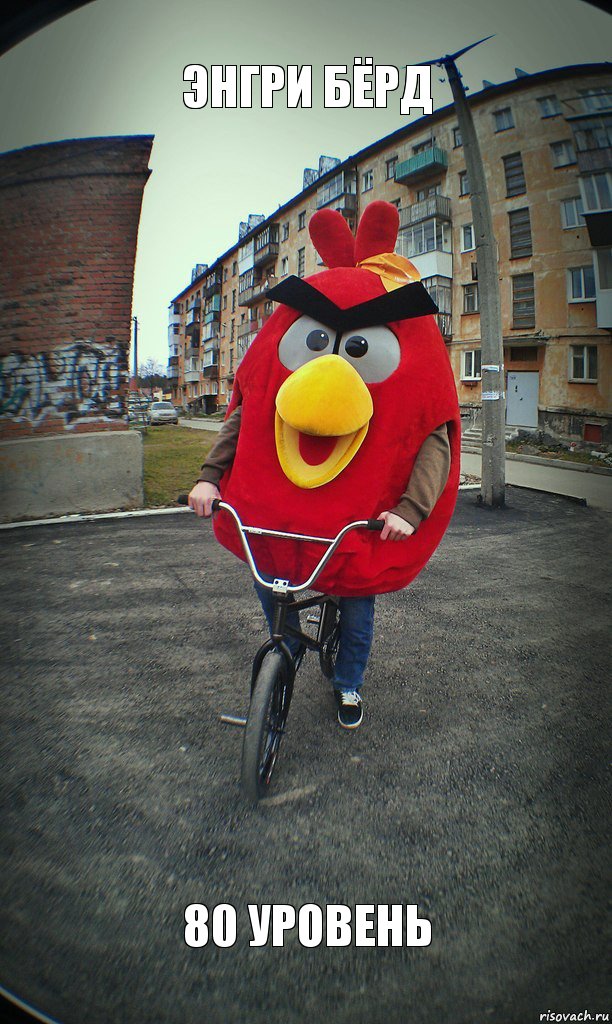 энгри бёрд 80 уровень, Комикс  Angry bird на велике