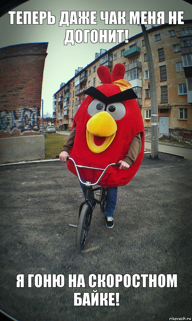 теперь даже Чак меня не догонит! я гоню на скоростном байке!, Комикс  Angry bird на велике