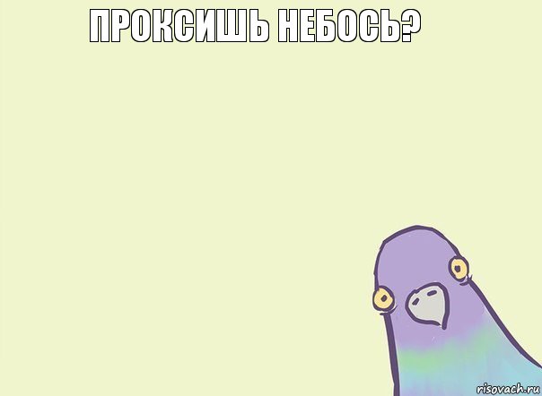 Проксишь небось?      , Комикс Голубь