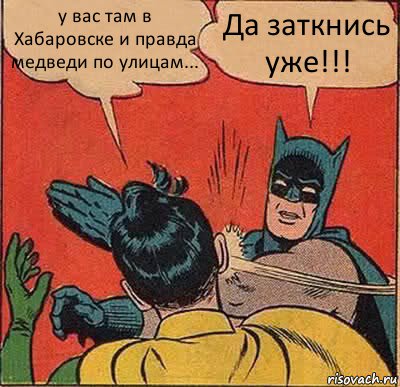 у вас там в Хабаровске и правда медведи по улицам... Да заткнись уже!!!, Комикс   Бетмен и Робин