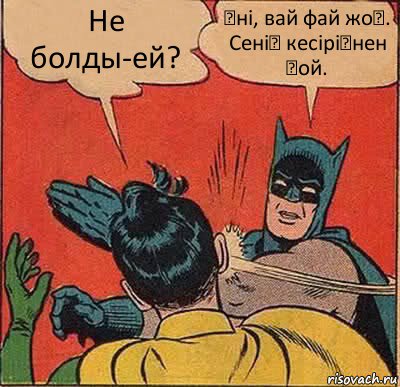 Не болды-ей? Әні, вай фай жоқ. Сенің кесіріңнен ғой., Комикс   Бетмен и Робин