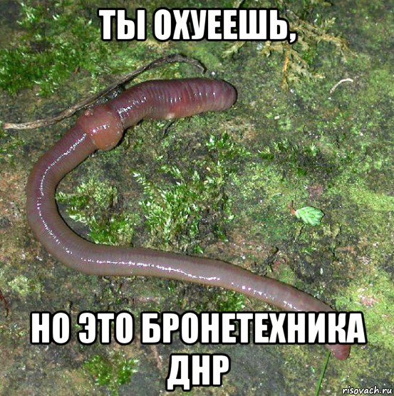 ты охуеешь, но это бронетехника днр