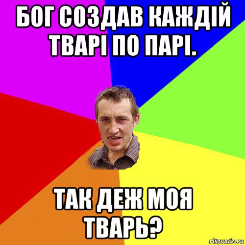 бог создав каждій тварі по парі. так деж моя тварь?, Мем Чоткий паца