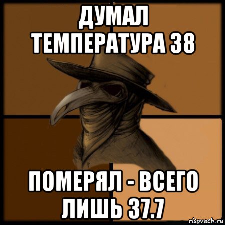 думал температура 38 померял - всего лишь 37.7, Мем  Чума