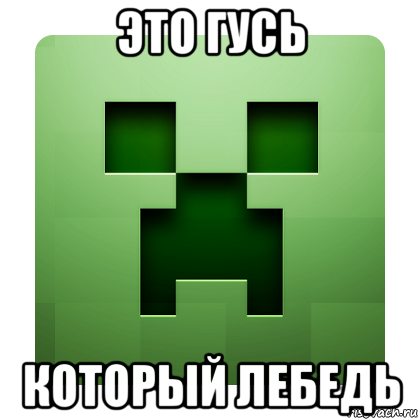 это гусь который лебедь, Мем Creeper