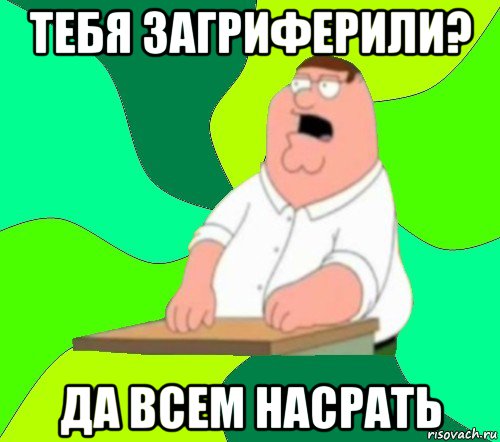 тебя загриферили? да всем насрать, Мем  Да всем насрать (Гриффин)