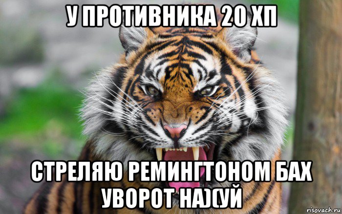 у противника 20 хп стреляю ремингтоном бах уворот на)(уй, Мем ДЕРЗКИЙ ТИГР