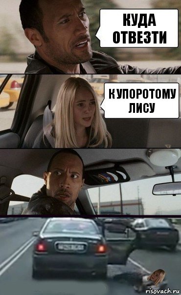 КУДА ОТВЕЗТИ К УПОРОТОМУ ЛИСУ