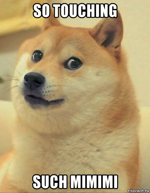 so touching such mimimi, Мем doge woof