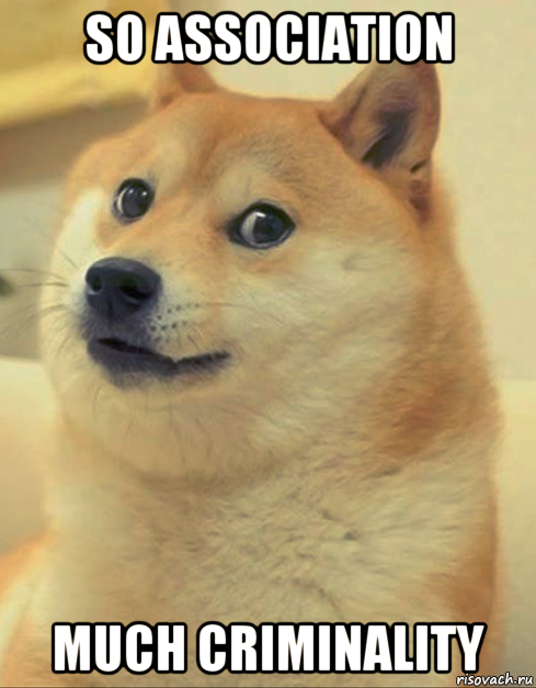 so association much criminality, Мем doge woof