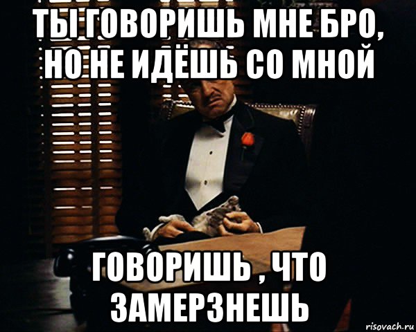 ты говоришь мне бро, но не идёшь со мной говоришь , что замерзнешь, Мем Дон Вито Корлеоне