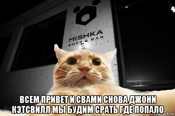  всем привет и свами снова джони кэтсвилл мы будим срать где попало, Мем   Джонни Кэтсвилл