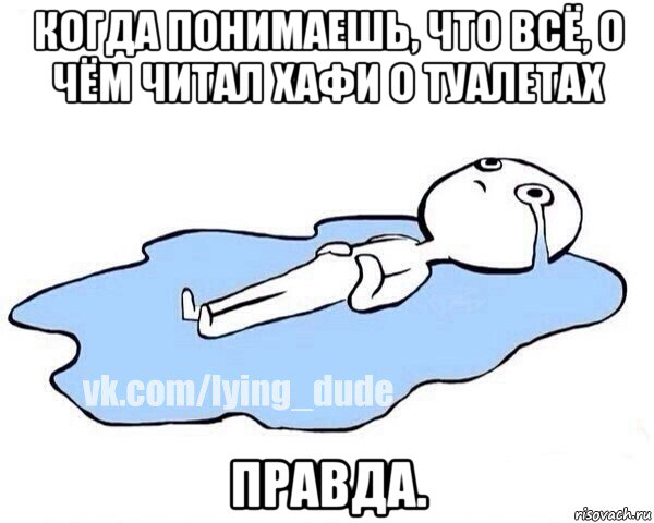 когда понимаешь, что всё, о чём читал хафи о туалетах правда., Мем Этот момент когда