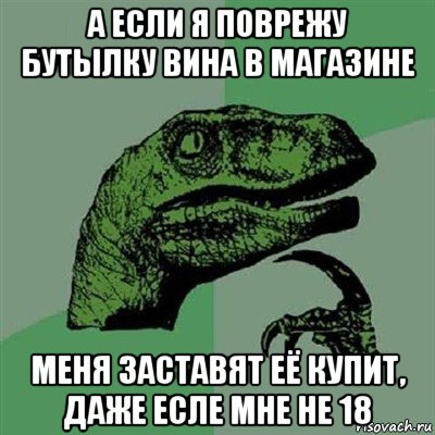 а если я поврежу бутылку вина в магазине меня заставят её купит, даже есле мне не 18, Мем Филосораптор