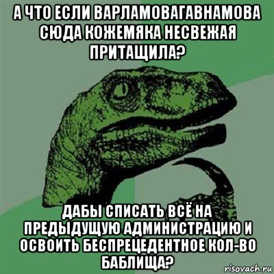 а что если варламовагавнамова сюда кожемяка несвежая притащила? дабы списать всё на предыдущую администрацию и освоить беспрецедентное кол-во баблища?, Мем Филосораптор