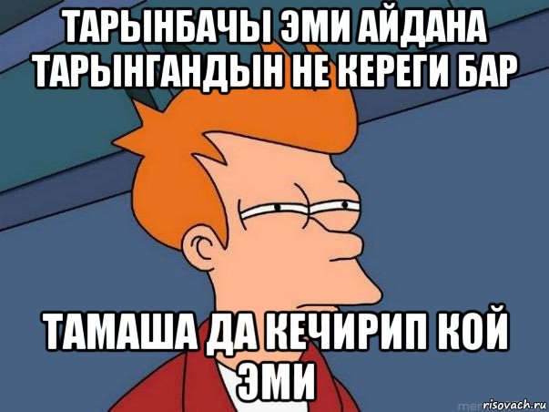 тарынбачы эми айдана тарынгандын не кереги бар тамаша да кечирип кой эми, Мем  Фрай (мне кажется или)