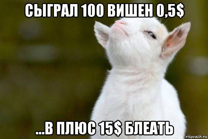 сыграл 100 вишен 0,5$ ...в плюс 15$ блеать, Мем  Гордый козленок