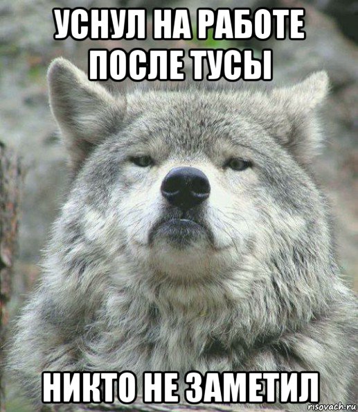 уснул на работе после тусы никто не заметил, Мем    Гордый волк