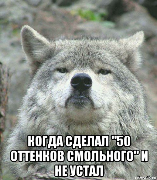  когда сделал "50 оттенков смольного" и не устал, Мем    Гордый волк