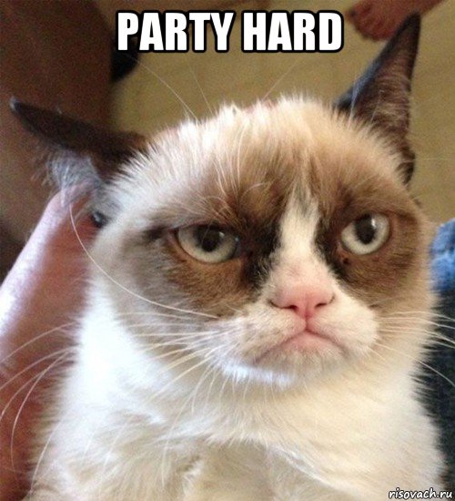 party hard , Мем Грустный (сварливый) кот