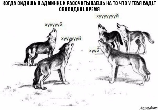 Когда сидишь в админке и рассчитываешь на то что у тебя будет свободное время, Комикс Когда хочешь