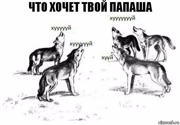 что хочет твой папаша