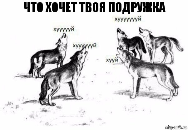 чТО ХОЧЕТ ТВОЯ ПОДРУЖКА