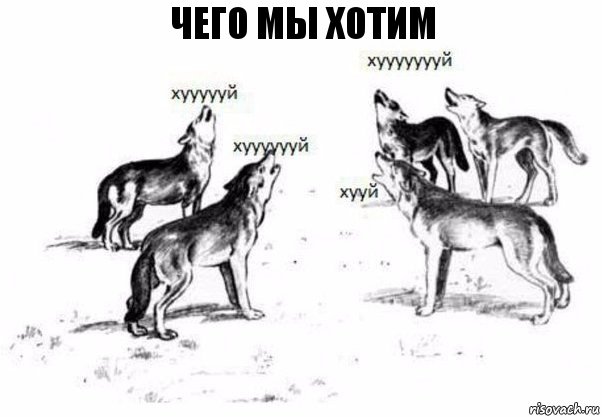 Чего мы хотим, Комикс Когда хочешь